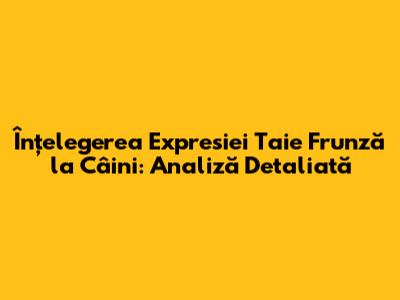 Înțelegerea Expresiei 'Taie Frunză la Câini': Analiză Detaliată