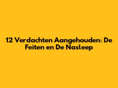 12 Verdachten Aangehouden: De Feiten en De Nasleep