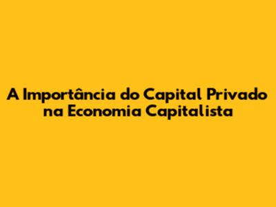 A Importância do Capital Privado na Economia Capitalista