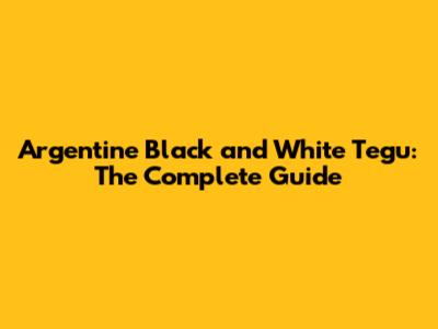 Argentine Black and White Tegu: The Complete Guide
