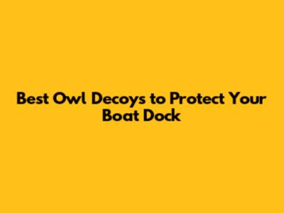 Best Owl Decoys to Protect Your Boat Dock