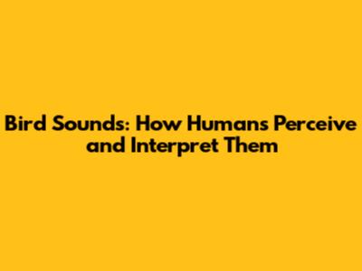 Bird Sounds: How Humans Perceive and Interpret Them