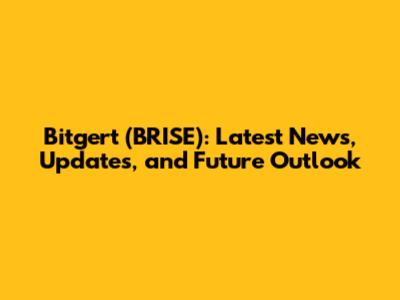 Bitgert (BRISE): Latest News, Updates, and Future Outlook
