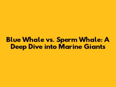 Blue Whale vs. Sperm Whale: A Deep Dive into Marine Giants
