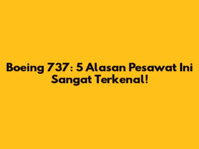 Boeing 737: 5 Alasan Pesawat Ini Sangat Terkenal!