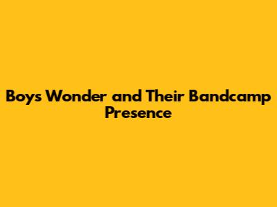 Boys Wonder and Their Bandcamp Presence