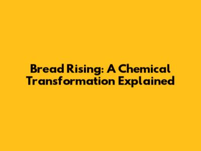 Bread Rising: A Chemical Transformation Explained