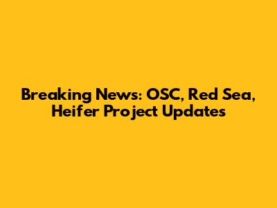 Breaking News: OSC, Red Sea, Heifer Project Updates
