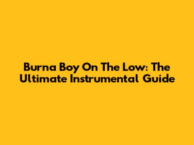 Burna Boy On The Low: The Ultimate Instrumental Guide