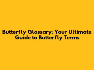 Butterfly Glossary: Your Ultimate Guide to Butterfly Terms