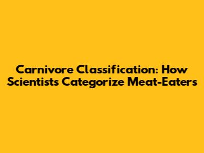 Carnivore Classification: How Scientists Categorize Meat-Eaters