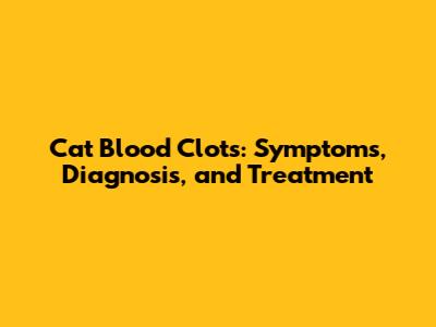 Cat Blood Clots: Symptoms, Diagnosis, and Treatment