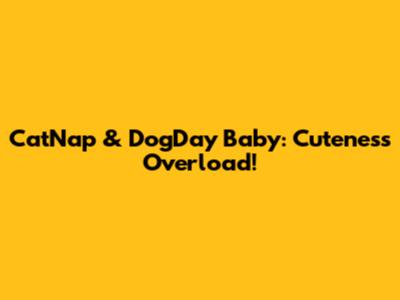 CatNap & DogDay Baby: Cuteness Overload!
