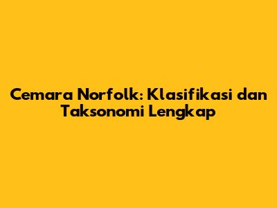 Cemara Norfolk: Klasifikasi dan Taksonomi Lengkap