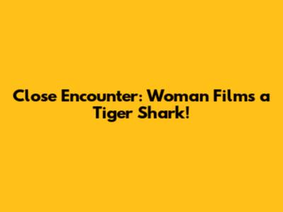 Close Encounter: Woman Films a Tiger Shark!