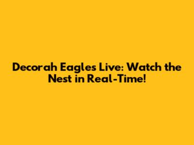 Decorah Eagles Live: Watch the Nest in Real-Time!