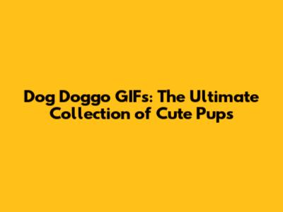 Dog Doggo GIFs: The Ultimate Collection of Cute Pups