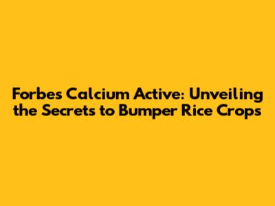 Forbes Calcium Active: Unveiling the Secrets to Bumper Rice Crops