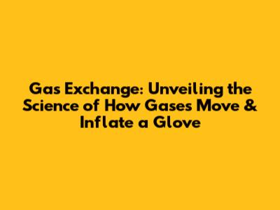 Gas Exchange: Unveiling the Science of How Gases Move & Inflate a Glove