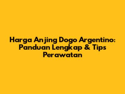 Harga Anjing Dogo Argentino: Panduan Lengkap & Tips Perawatan