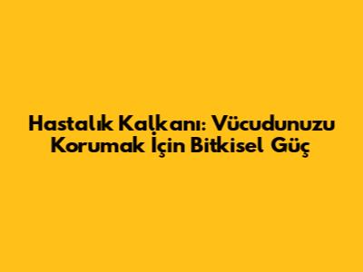 Hastalık Kalkanı: Vücudunuzu Korumak İçin Bitkisel Güç