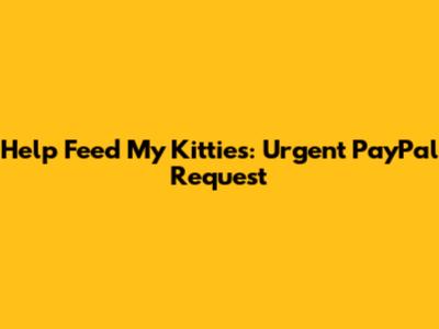 Help Feed My Kitties: Urgent PayPal Request