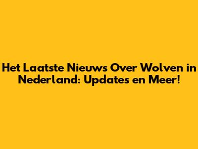 Het Laatste Nieuws Over Wolven in Nederland: Updates en Meer!