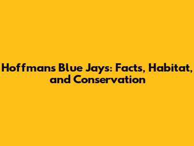 Hoffman's Blue Jays: Facts, Habitat, and Conservation