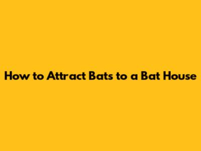 How to Attract Bats to a Bat House