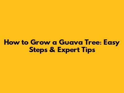 How to Grow a Guava Tree: Easy Steps & Expert Tips