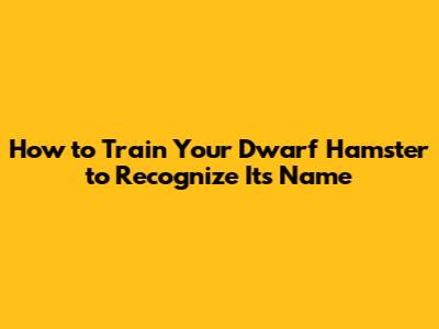How to Train Your Dwarf Hamster to Recognize Its Name