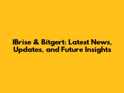 IBrise & Bitgert: Latest News, Updates, and Future Insights
