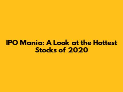 IPO Mania: A Look at the Hottest Stocks of 2020