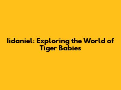 Iidaniel: Exploring the World of Tiger Babies