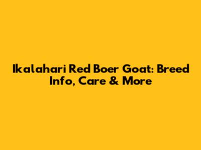 Ikalahari Red Boer Goat: Breed Info, Care & More