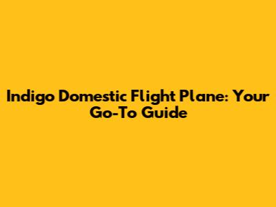Indigo Domestic Flight Plane: Your Go-To Guide