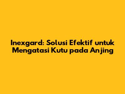 Inexgard: Solusi Efektif untuk Mengatasi Kutu pada Anjing
