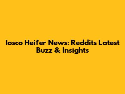 Iosco Heifer News: Reddit's Latest Buzz & Insights