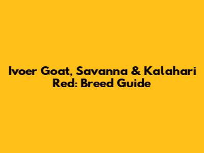 Ivoer Goat, Savanna & Kalahari Red: Breed Guide
