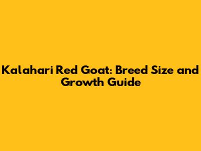 Kalahari Red Goat: Breed Size and Growth Guide