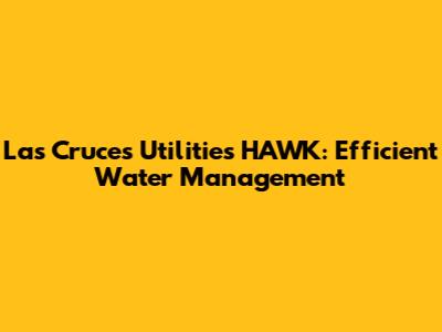 Las Cruces Utilities HAWK: Efficient Water Management