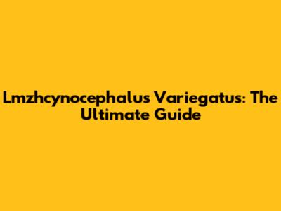 Lmzhcynocephalus Variegatus: The Ultimate Guide