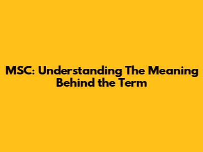 MSC: Understanding The Meaning Behind the Term