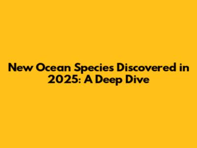 New Ocean Species Discovered in 2025: A Deep Dive