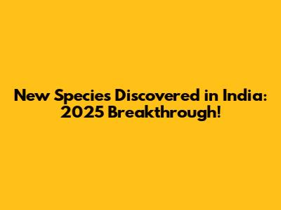 New Species Discovered in India: 2025 Breakthrough!