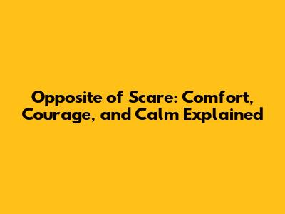 Opposite of Scare: Comfort, Courage, and Calm Explained