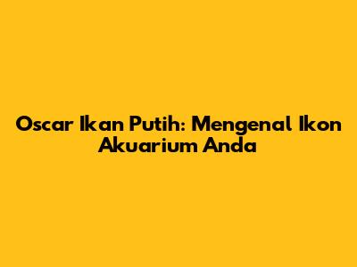 Oscar Ikan Putih: Mengenal Ikon Akuarium Anda