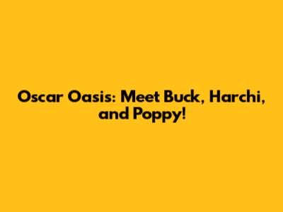 Oscar Oasis: Meet Buck, Harchi, and Poppy!