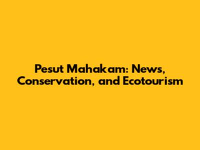 Pesut Mahakam: News, Conservation, and Ecotourism