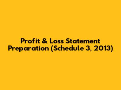 Profit & Loss Statement Preparation (Schedule 3, 2013)